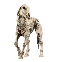 Mythic Legions: Skeleton Steed: Legion Builder Action Figure - Four Horsemen Toy Design Action Figures