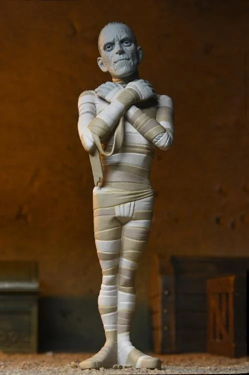 Toony Terrors: Universal Monsters: : Series 10: Set Of 4 Figures - Neca Action Figures