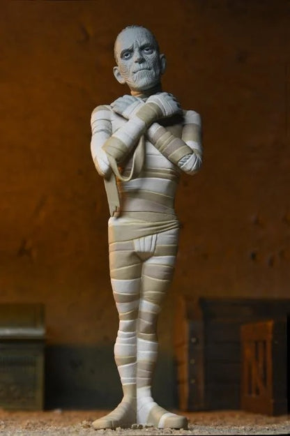 Toony Terrors: Universal Monsters: : Series 10: Set Of 4 Figures - Neca Action Figures