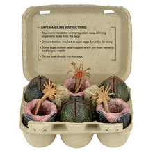 Aliens (1986): Carton Of Xenomorph Eggs: 40th Anniversary: Suitable for 7": 6 Pack