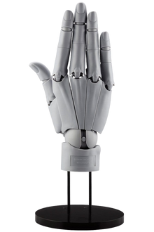 this is a product image