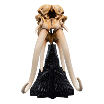 Lord of the Rings Mini Statue Skull of a Mumak 15 cm - Weta Workshop Statue