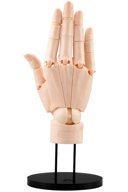 this is a product image