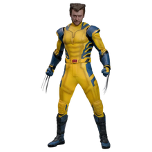 Deadpool & Wolverine: Wolverine: Deluxe - Hot Toys Action Figures