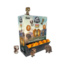 Jurassic World Pocket Pocket POP! Vinyl Figure Amber PDQ Display (12) 4 cm - Funko Pop! Figures
