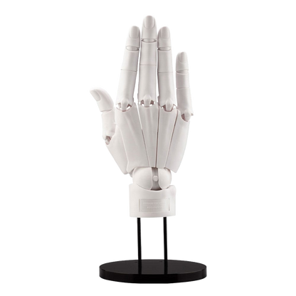 this is a product image