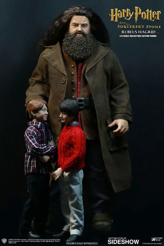 Harry Potter & The Sorcerers Stone: Rubeus Hagrid Deluxe: Sixth Scale: Star Ace