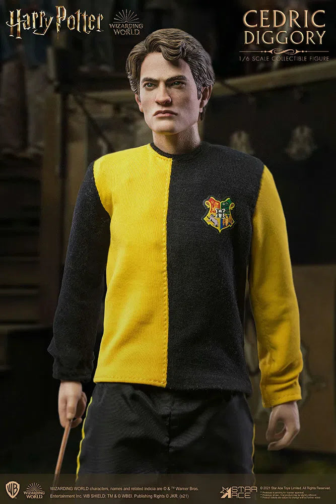 Harry Potter & The Goblet Of Fire: Cedric Diggory: Standard: Sixth Scale Figure: Star Ace