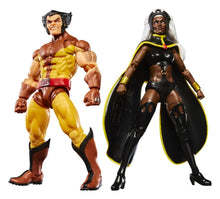 Marvel Legends Action Figure 2-Pack Storm & Wolverine - Hasbro Action Figures