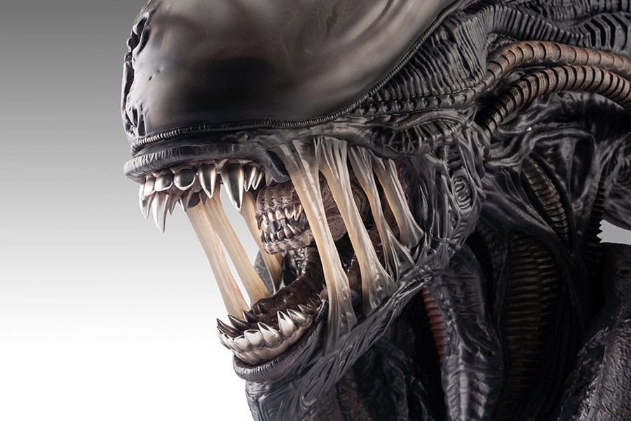 Alien Romulus: Xenomorph: 1/1 Bust - Hollywood Collectibles Group Lifesize busts