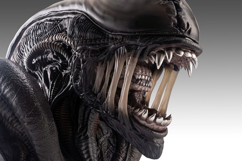 Alien Romulus: Xenomorph: 1/1 Bust - Hollywood Collectibles Group Lifesize busts