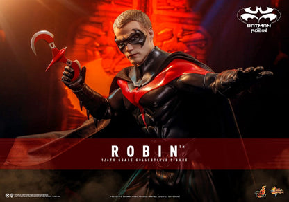Batman & Robin: Robin: 1/6 Scale Action Figure