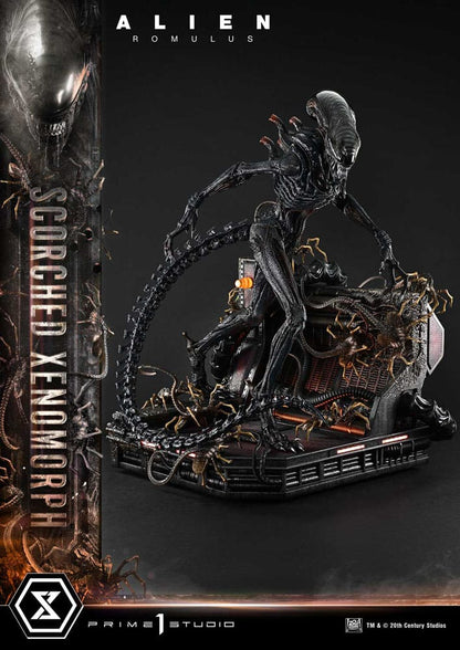 Alien: Romulus Museum Masterline XL Statue 1/3 Scorched Xenomorph 98 cm - Prime 1 Studio Statues