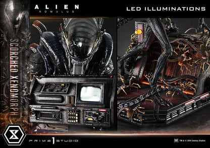 Alien: Romulus Museum Masterline XL Statue 1/3 Scorched Xenomorph Deluxe Version 98 cm - Prime 1 Studio Statues