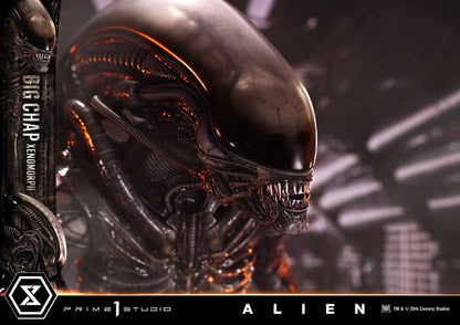 Alien Museum Masterline XL Statue 1/3 Big Chap Xenomorph Regular Ver. 100 cm - Prime 1 Studio Statues & Busts