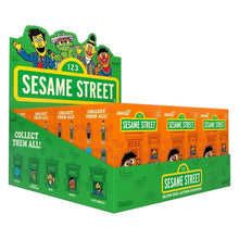 Sesame Street Action Figure Blind Box Wave 3 Display 23 cm - Super7 Blind Boxes